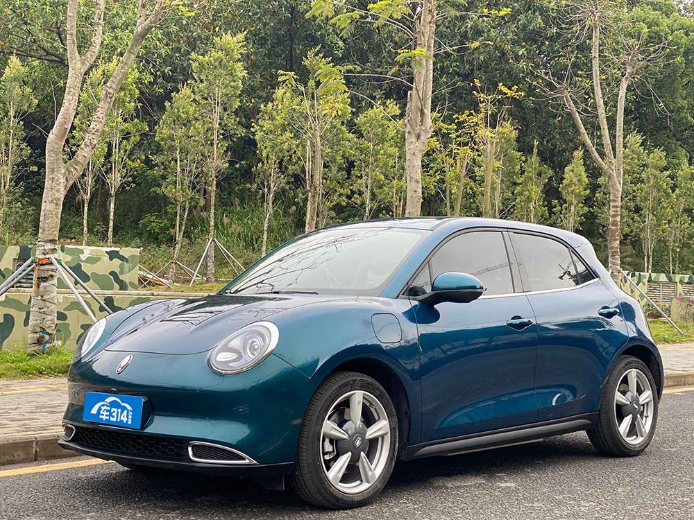 小型纯电车型该如何选择？欧拉好猫和比亚迪海豚您选择谁