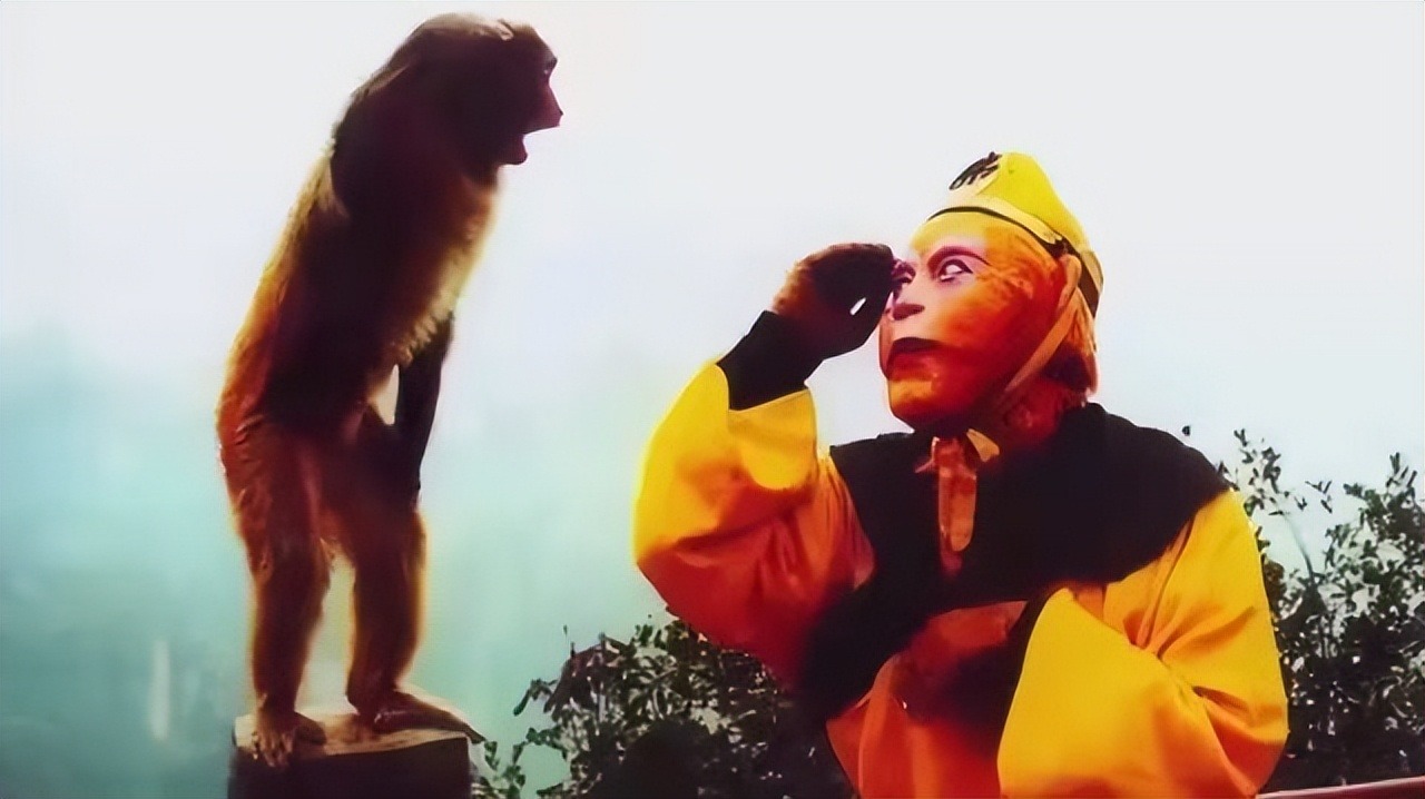 86西游记杨洁看中一猴子演技堪称一绝六龄童百般阻拦