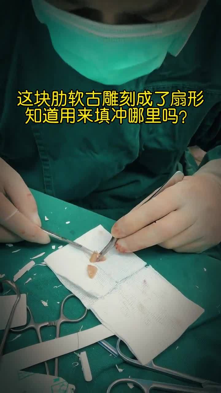 这块肋软骨雕刻成了扇形你知道是填充哪里的吗