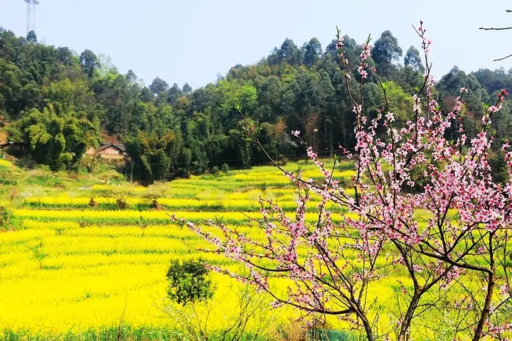 乐山有个很美的县,坐拥六大古镇,名字一般人读不对休闲区蓝鸢梦想 - Www.slyday.coM 乐山有个很美的县,坐拥六大古镇,名字一般人读不对休闲区蓝鸢梦想 - Www.slyday.coM
