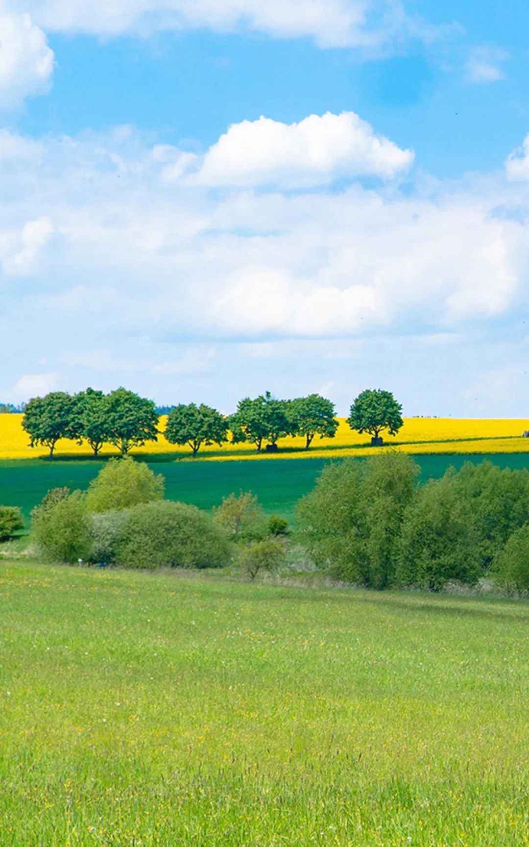 高清壁纸|风景自然高清手机壁纸|流年|爱情|男人如衣服_新浪新闻