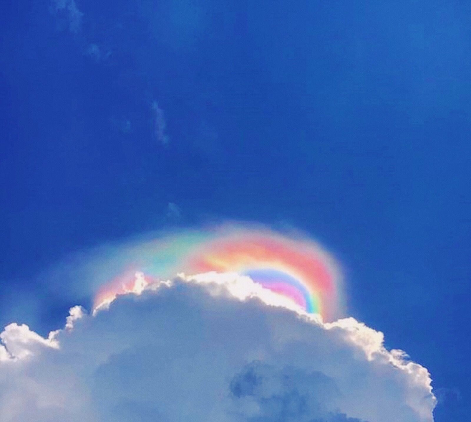 “要做最后的赢家”/高考励志文案休闲区蓝鸢梦想 - Www.slyday.coM