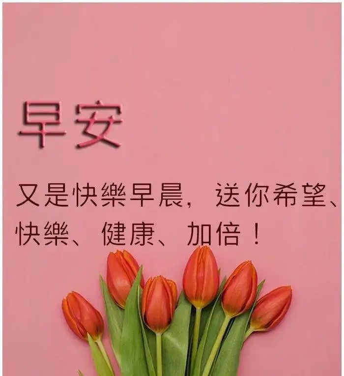 最美早安问候祝福语图片带字温馨早上好唯美祝福问候图片