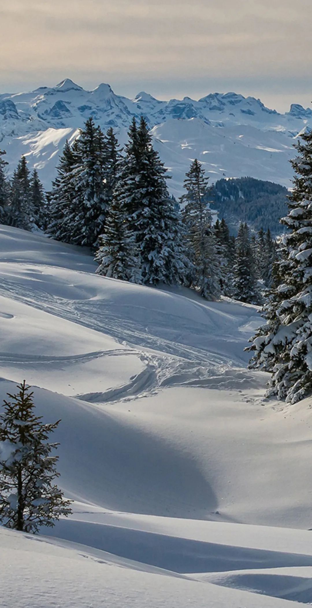 高清壁纸|风景自然高清手机壁纸__财经头条