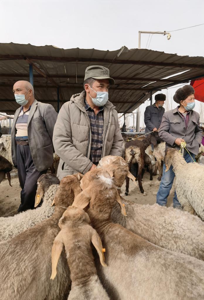 完成交易的人准备牵羊回家(3月22日摄).新华社记者 何军 摄