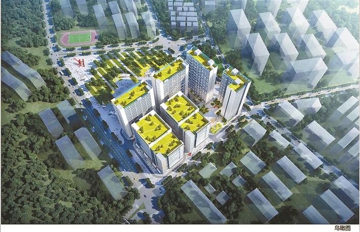 全力打造园山街道经济新增长极龙岗区园山街道加快推动阿波罗未来产业