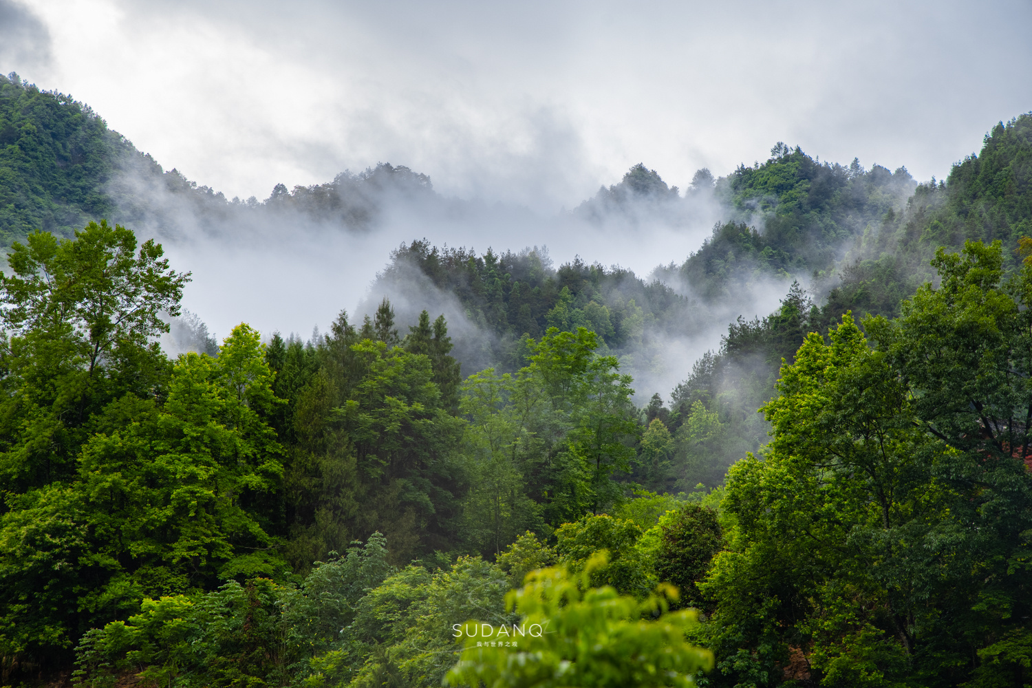 山间云雾缭绕林间炊烟袅袅在这宁静而朴素的美丽世界里