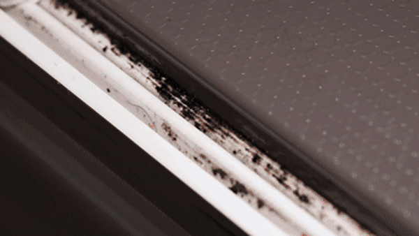 建议大家：日子过久了，这些东西真的不好用，别再交智商税了休闲区蓝鸢梦想 - Www.slyday.coM