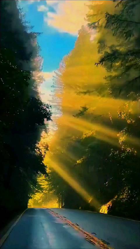 心中有光到处充满阳光