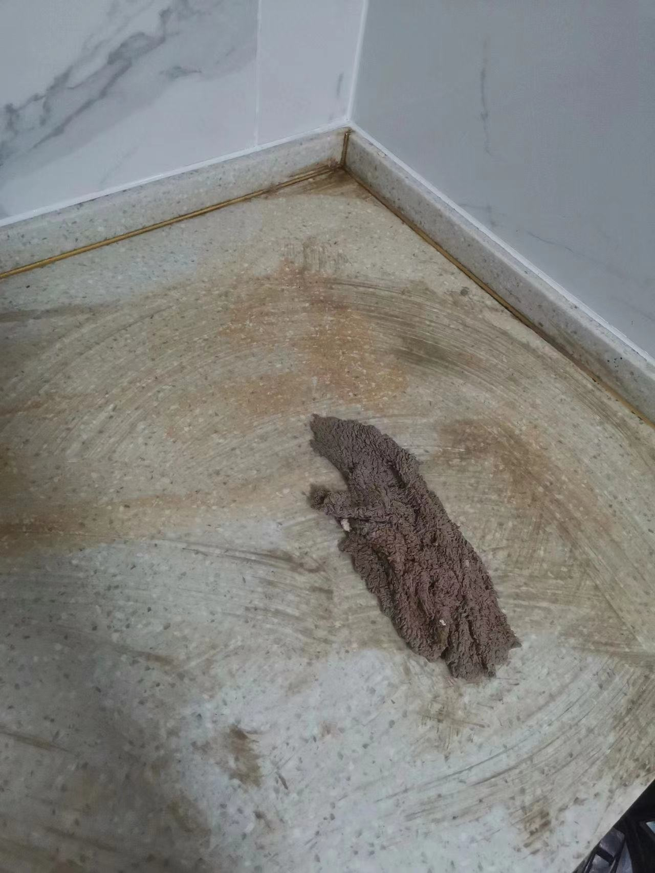 建议大家：日子过久了，这些东西真的不好用，别再交智商税了休闲区蓝鸢梦想 - Www.slyday.coM