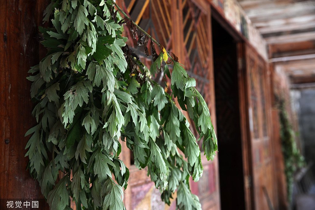 民俗·日常丨端午到了，你选择“沐兰”还是“悬艾”？休闲区蓝鸢梦想 - Www.slyday.coM