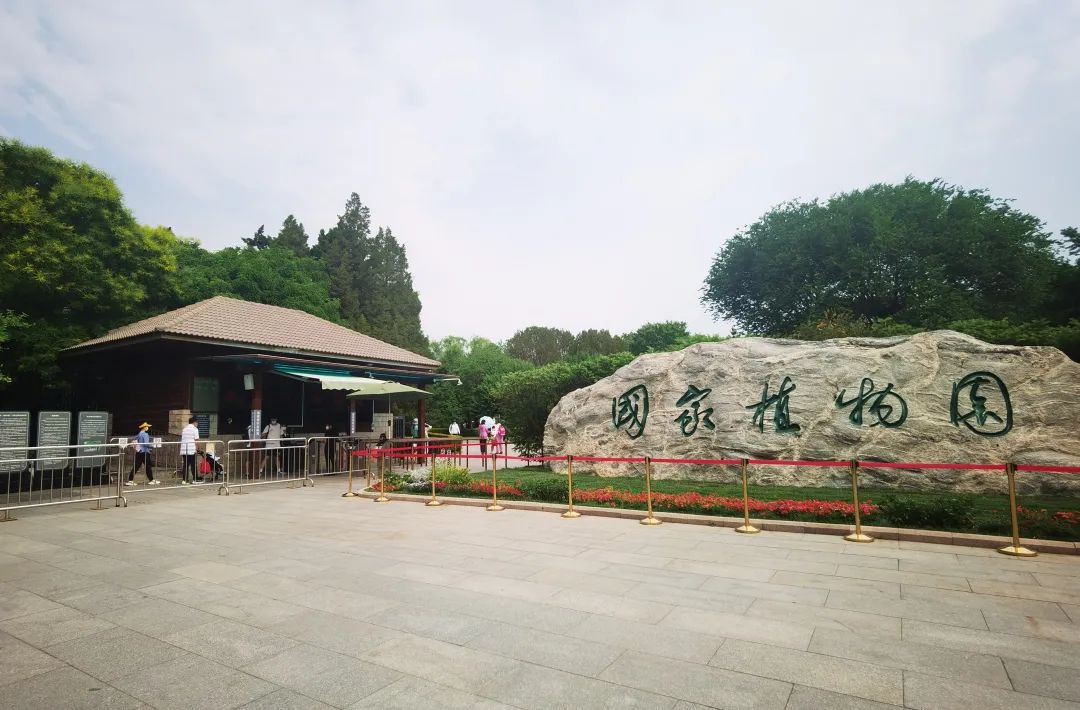 九点国家植物园门口市民有序入园/记者戚天&nbsp;拍摄