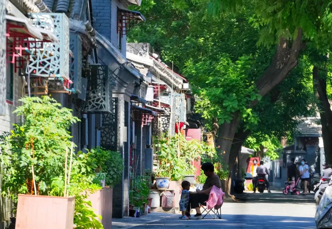 走进北京这些背街小巷眼前一亮
