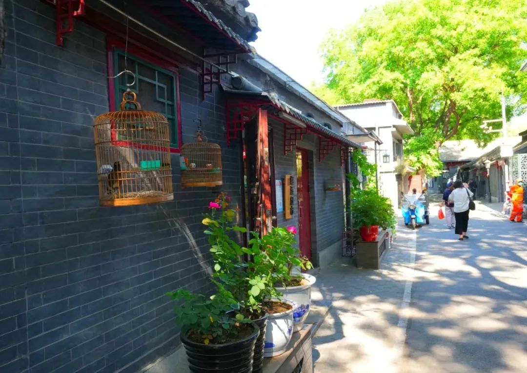 走进北京这些背街小巷眼前一亮