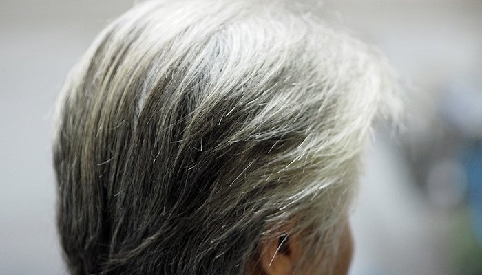 疫情是否会大规模反弹？端午小长假如何落实防疫要求？一文了解上海发布会休闲区蓝鸢梦想 - Www.slyday.coM