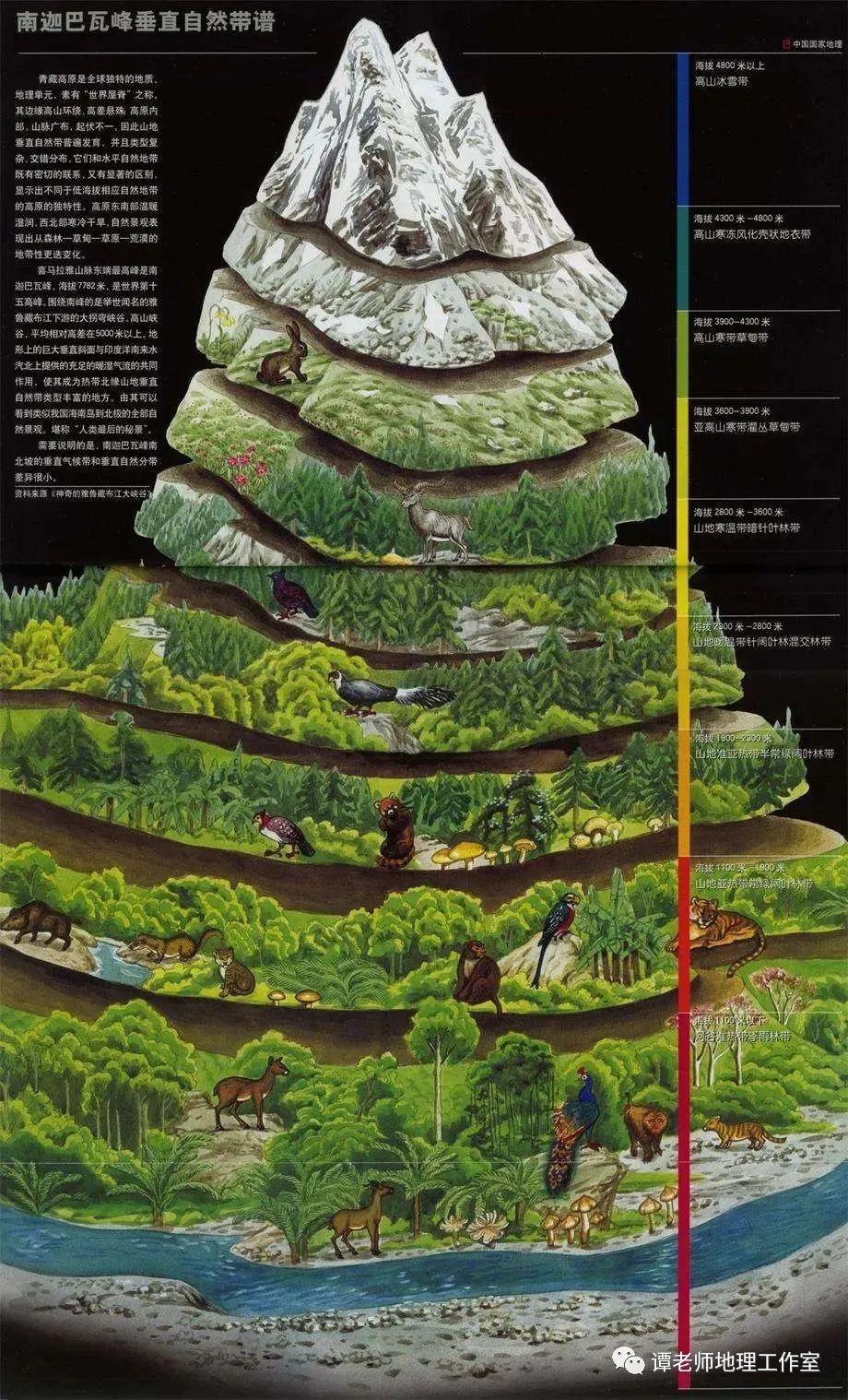 非地帶性分佈現象及成因分析彙集附20座山脈的垂直自然帶譜總結全了