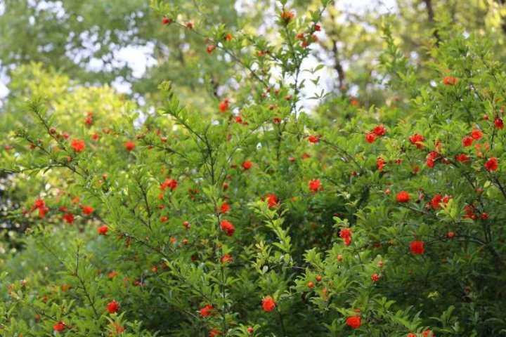 大家端午安康，假期雨水加班，这天降雨最强休闲区蓝鸢梦想 - Www.slyday.coM