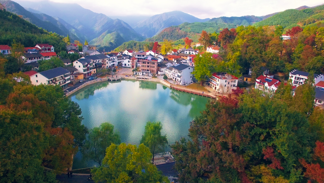 杭州市_新浪财经_新浪网