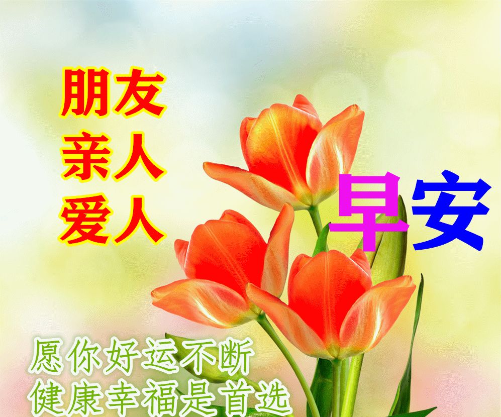 最新特别漂亮早晨问候祝福图片带字早上好问候动画表情包
