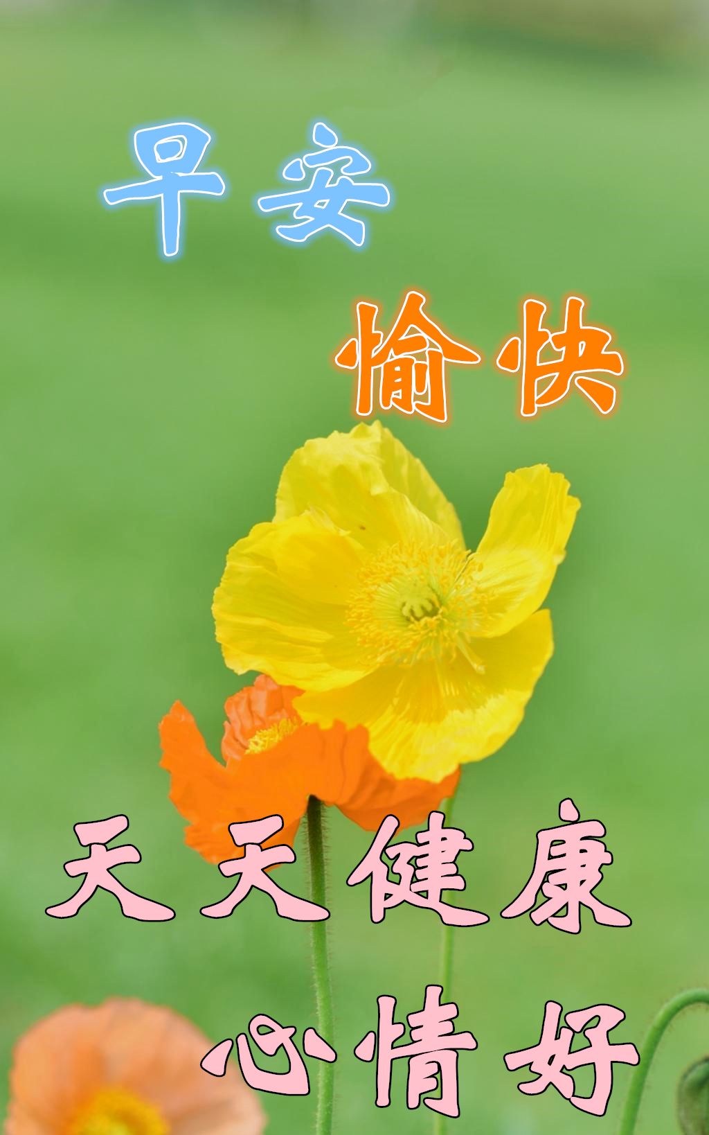 早安朋友圈的哲理句子早上好祝福语动态美丽图片