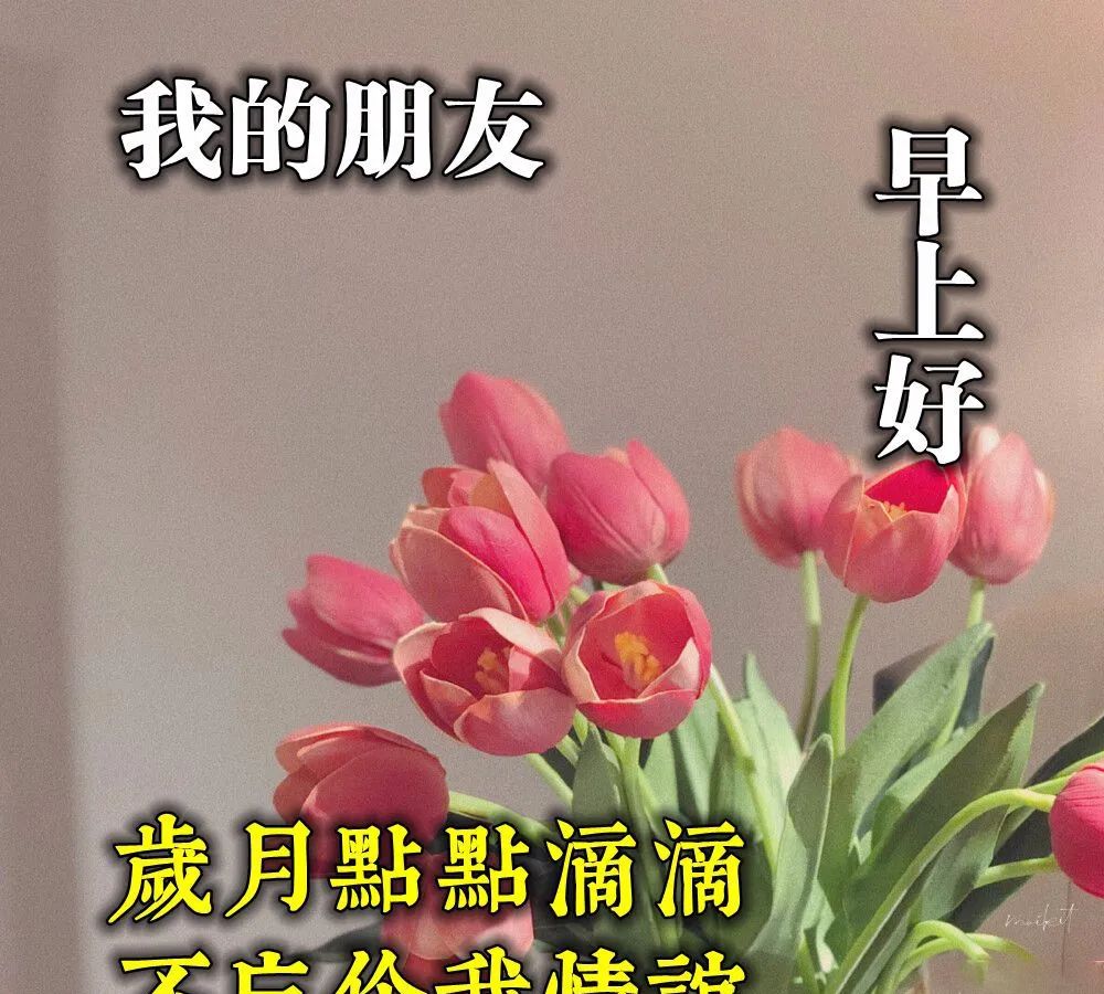 早安朋友圈的哲理句子早上好祝福语动态美丽图片