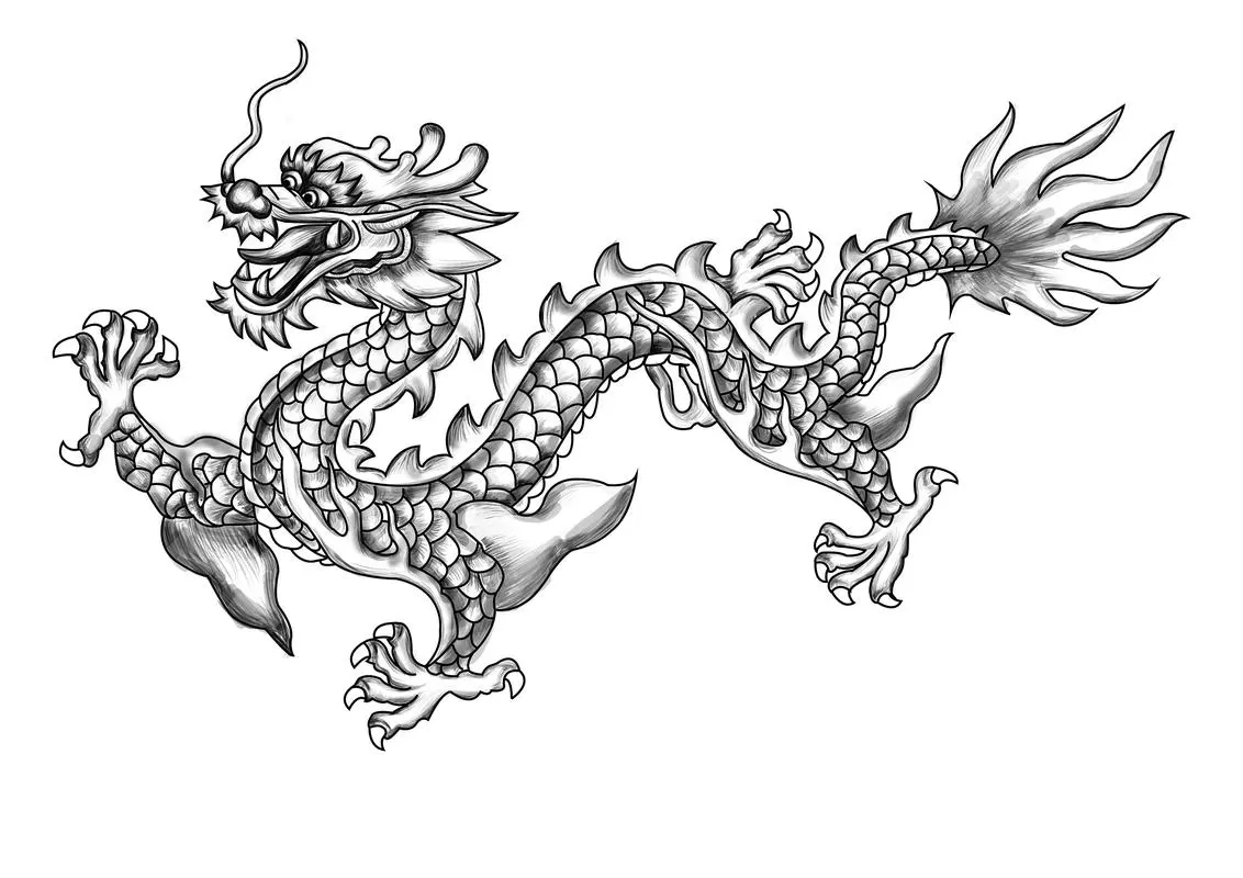 飞龙在天|龙|端午节_新浪新闻