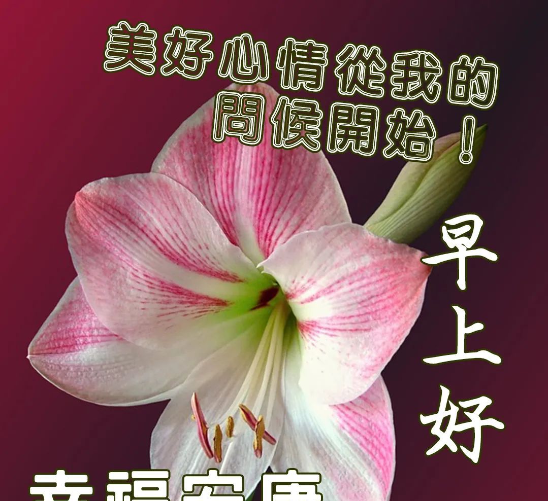 免打字早安祝福语表情图片精选简单暖心早上好问候句子