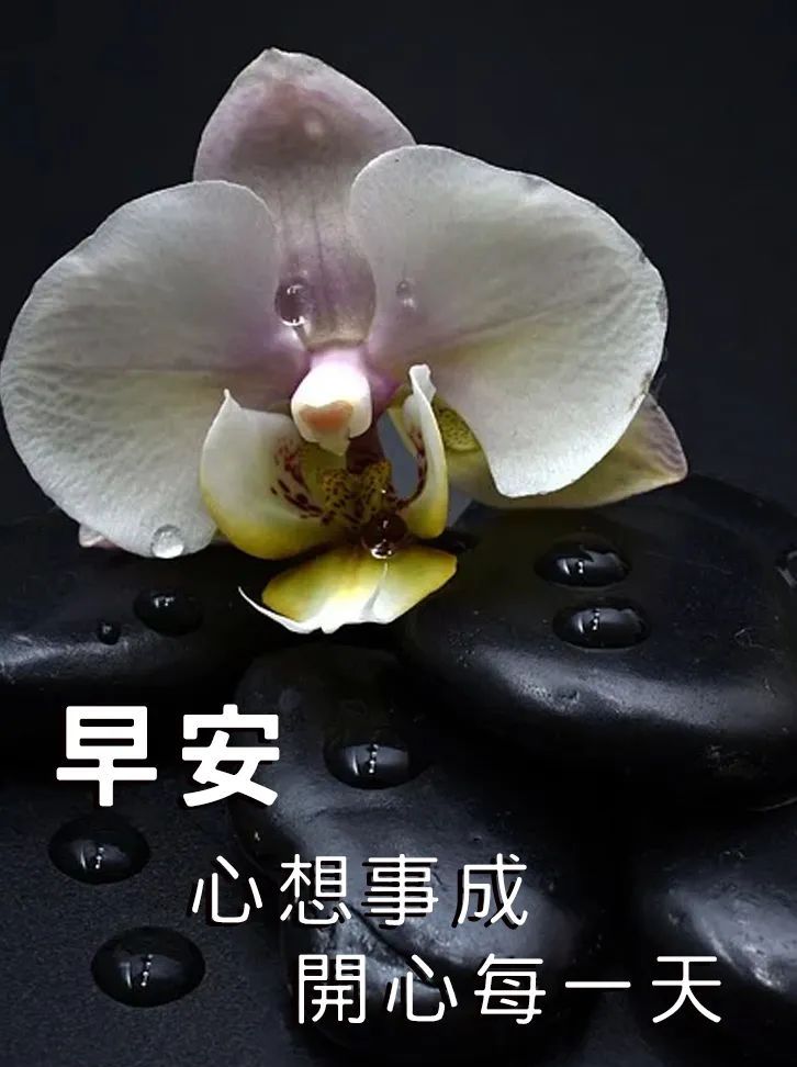 免打字早安祝福语表情图片精选简单暖心早上好问候句子