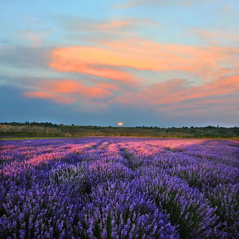 北京的云飘到你朋友圈了吗？休闲区蓝鸢梦想 - Www.slyday.coM