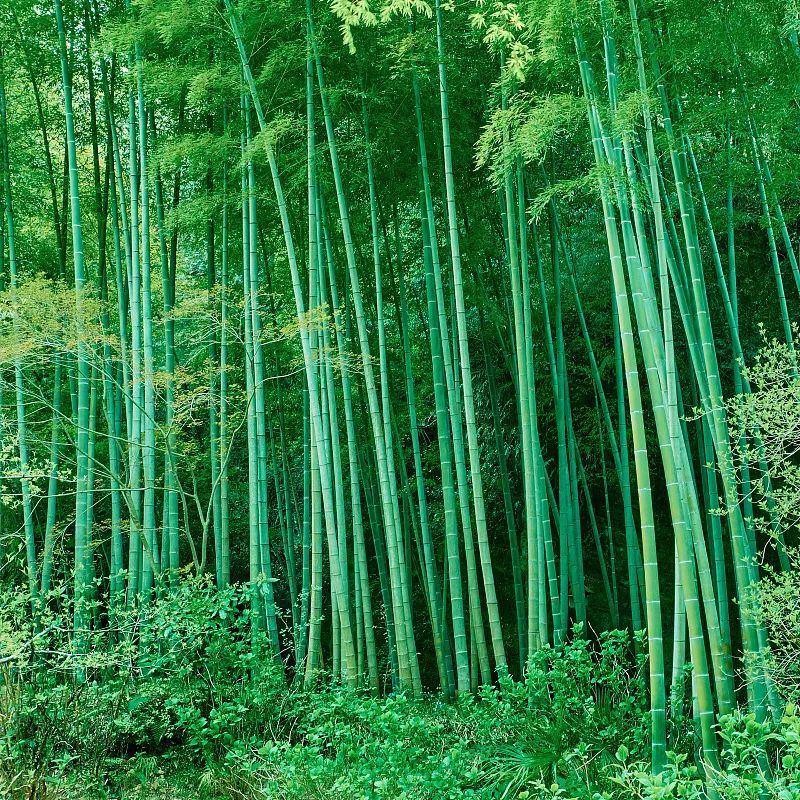 北京的云飘到你朋友圈了吗？休闲区蓝鸢梦想 - Www.slyday.coM