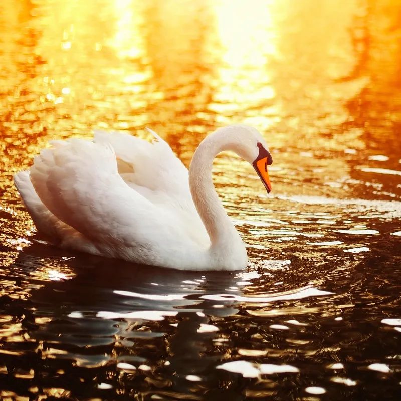 北京的云飘到你朋友圈了吗？休闲区蓝鸢梦想 - Www.slyday.coM