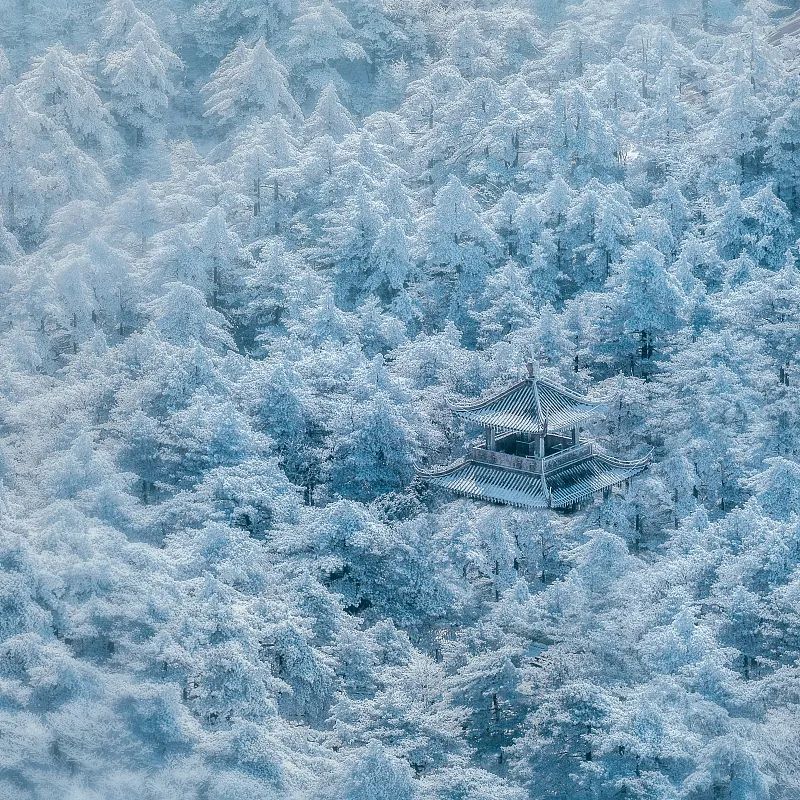 北京的云飘到你朋友圈了吗？休闲区蓝鸢梦想 - Www.slyday.coM