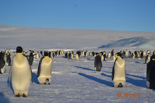 新闻8点见丨再探苍穹！神舟十四号航天员明日出征休闲区蓝鸢梦想 - Www.slyday.coM