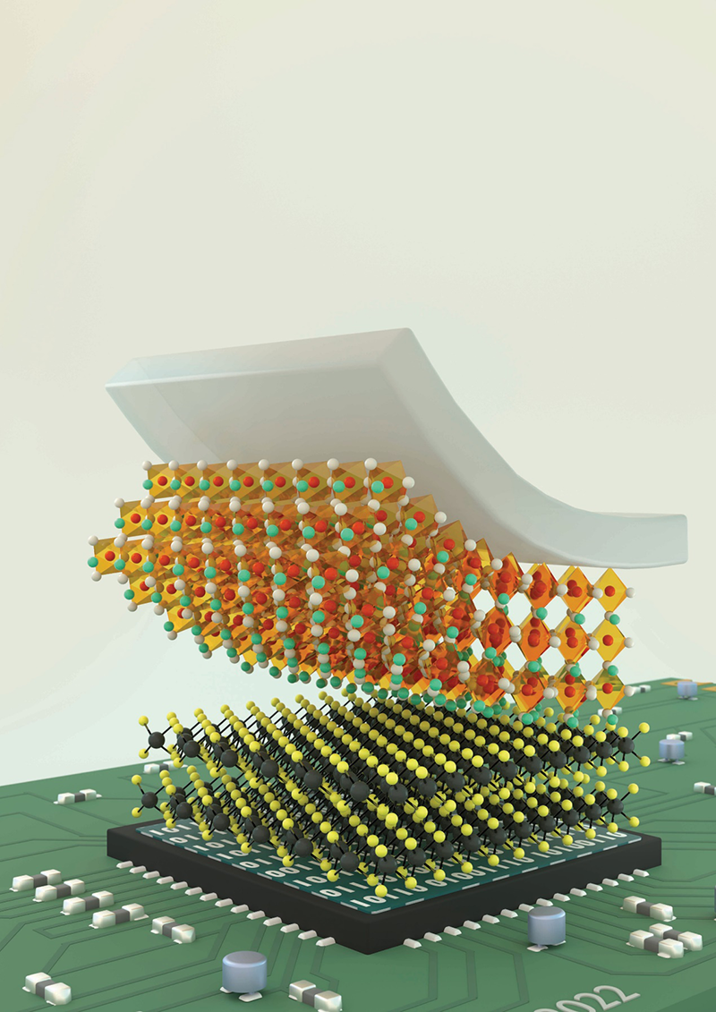 团队方法示意图 图片来源：Tech Xplore