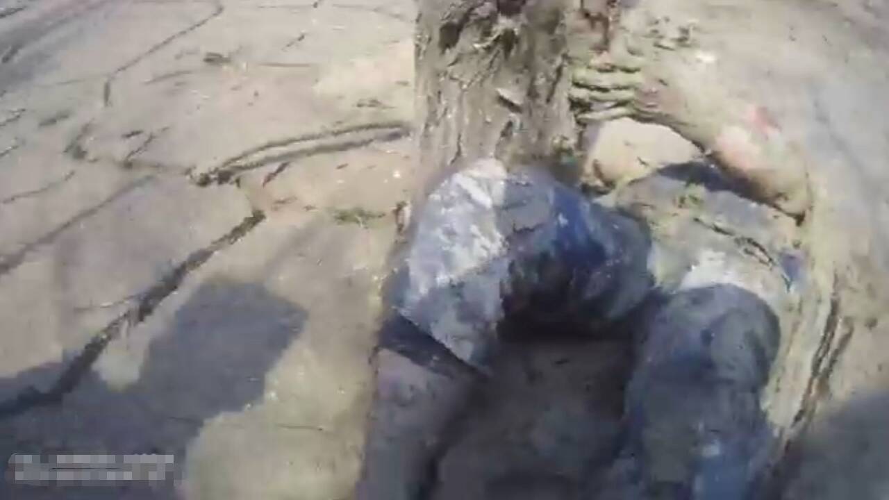 老人深陷泥潭 淄博消警联动快速解救