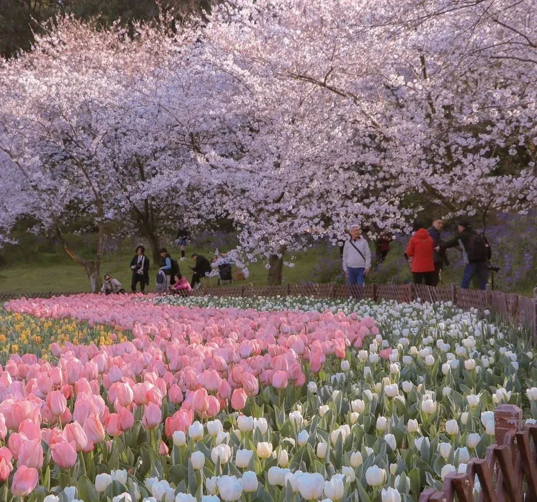 北京的云飘到你朋友圈了吗？休闲区蓝鸢梦想 - Www.slyday.coM