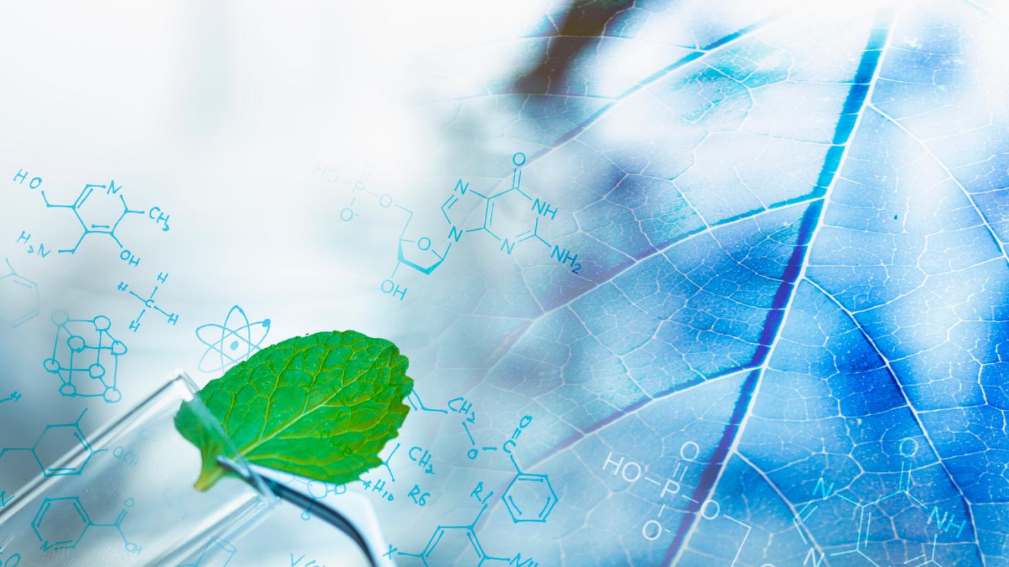 未来健康沙利文刘伟奇合成生物学产业将迎来更火爆的投入