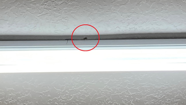 美国一12岁男孩持枪抢劫加油站，店员问他是认真的？男孩直接鸣枪警告休闲区蓝鸢梦想 - Www.slyday.coM