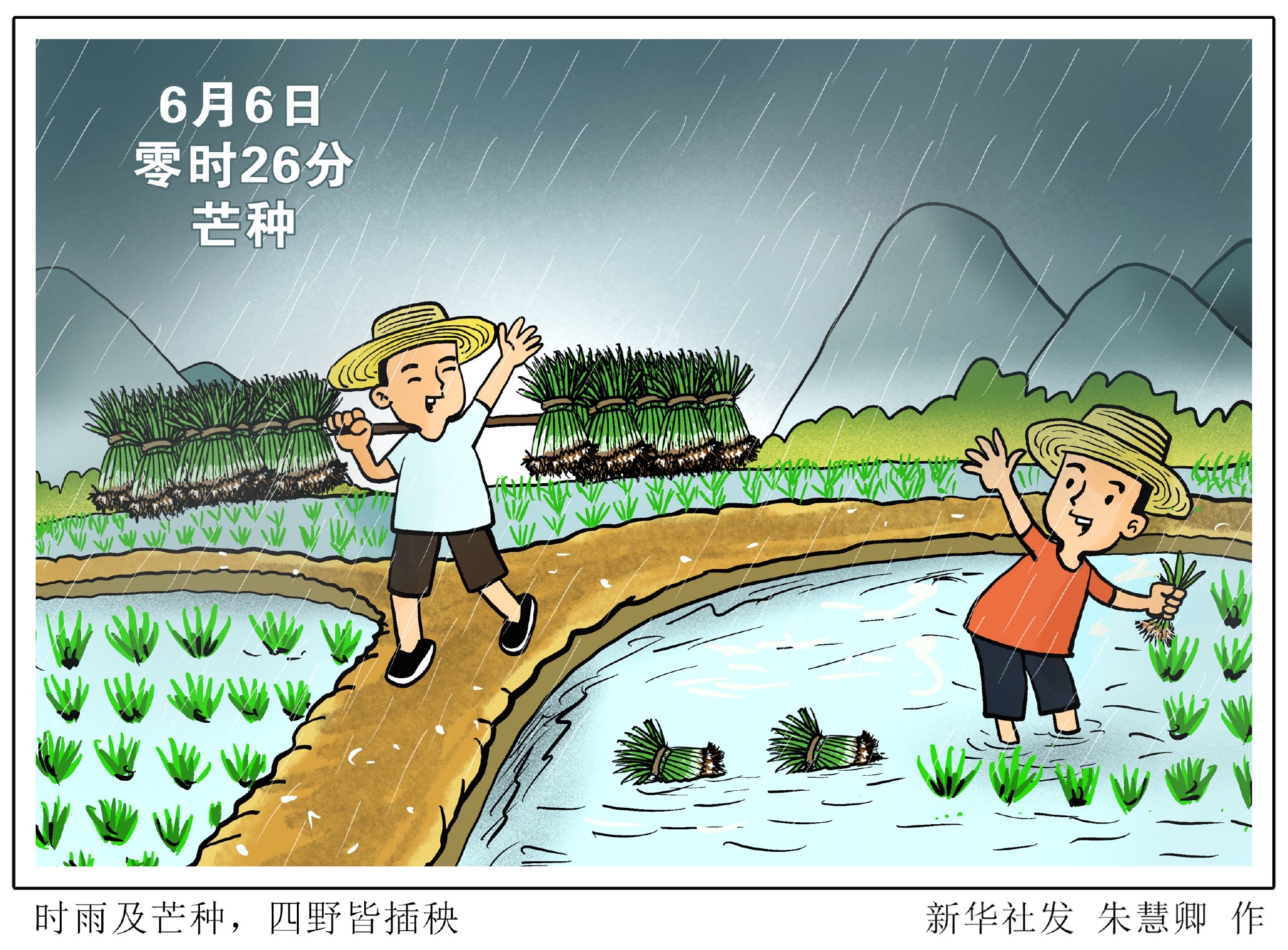 新华社图表,北京,2022年6月5日漫画:时雨及芒种,四野皆插秧"时雨及