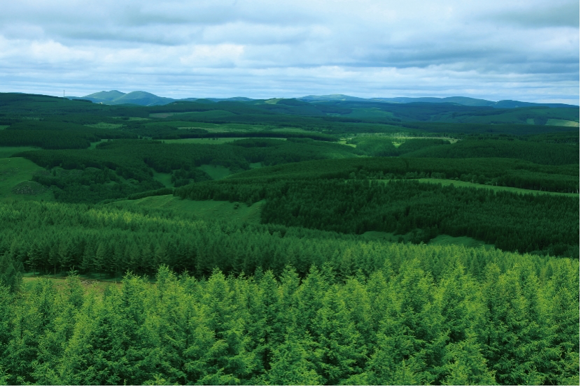 开局一片沙漠现已金山银山从塞罕坝看中国如何创造绿色奇迹