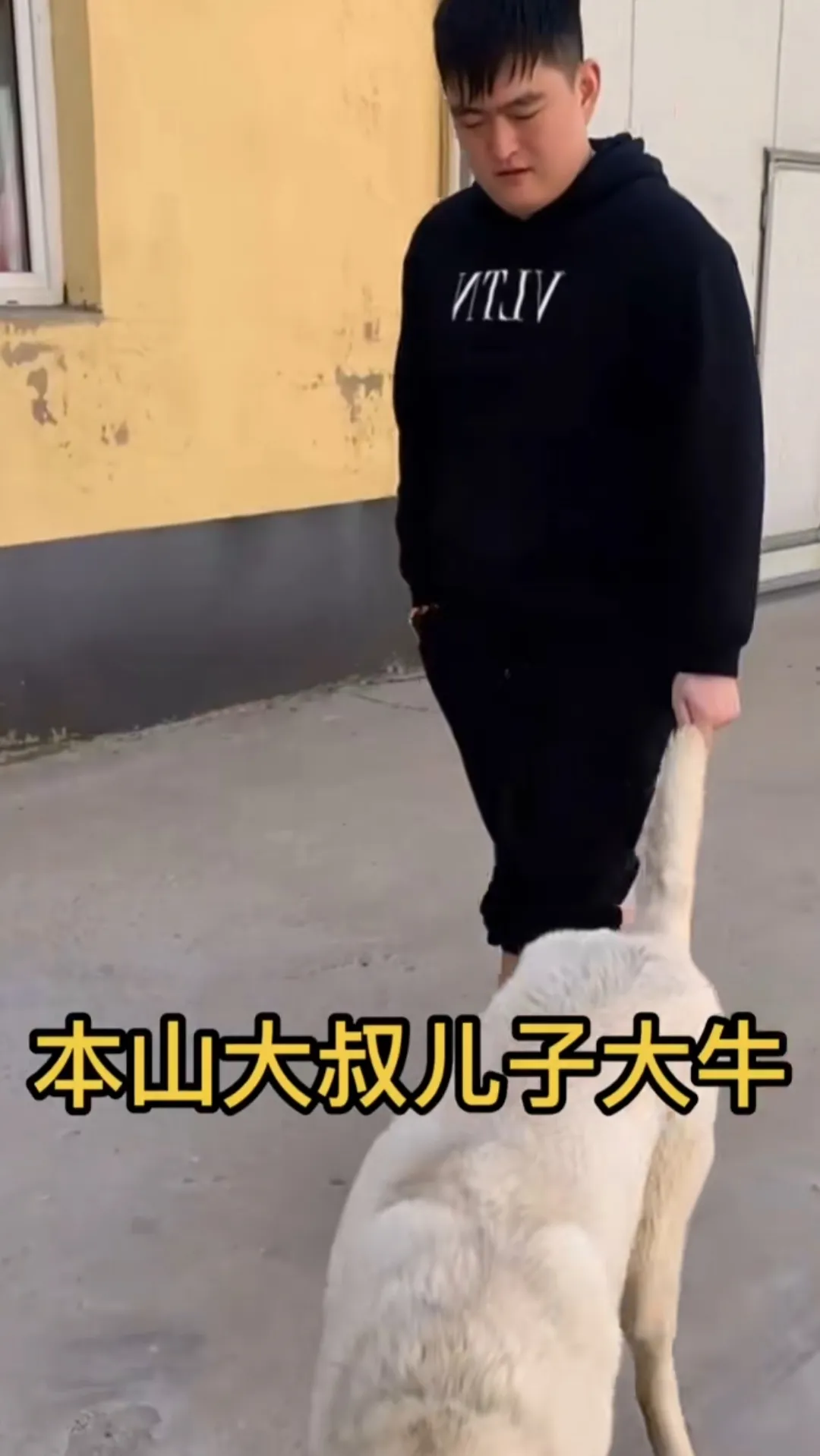 赵本山儿子豪掷260万买狗，被质疑炫富败家，怒怼网友：你们这是仇富！休闲区蓝鸢梦想 - Www.slyday.coM