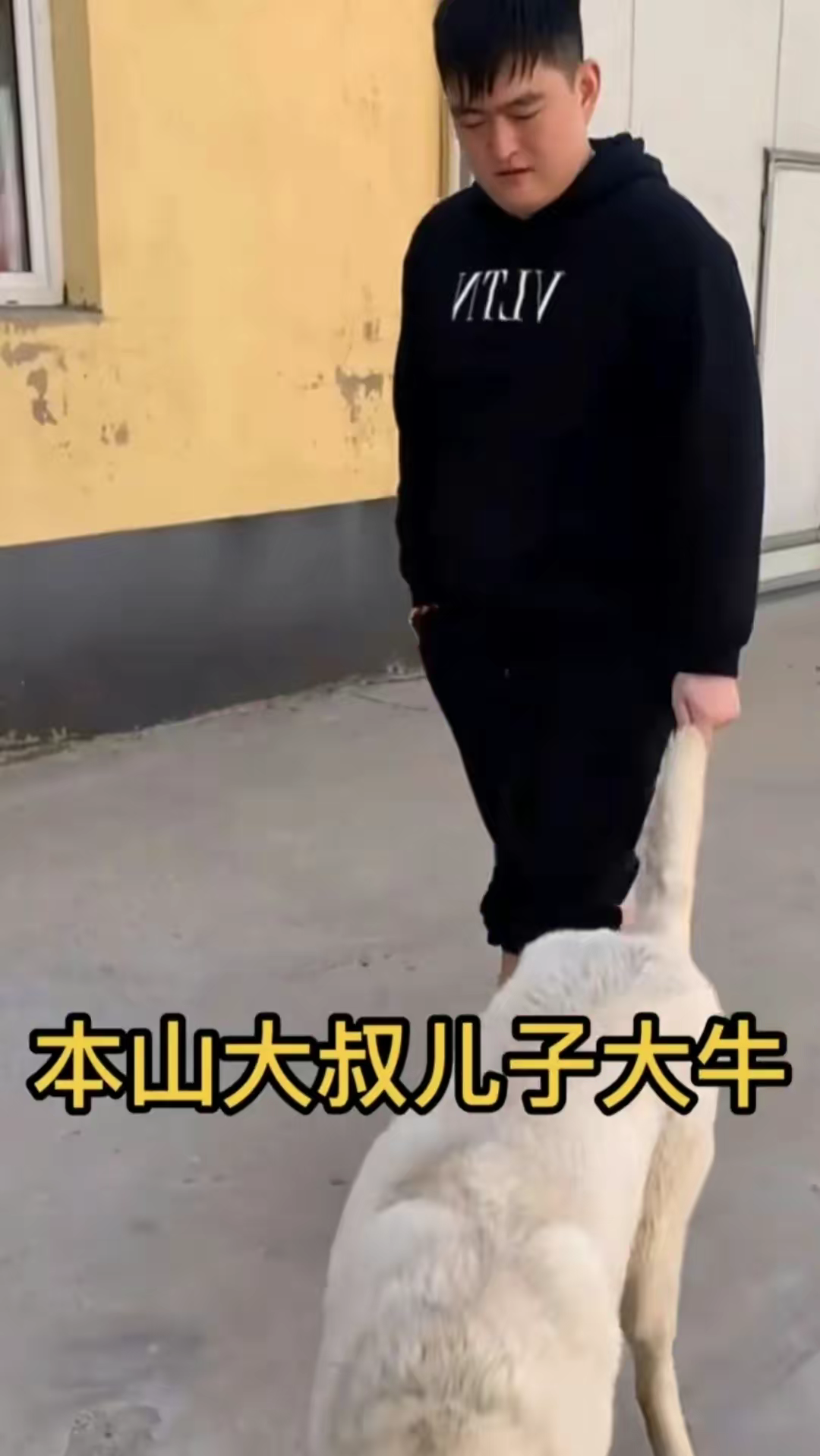 赵本山儿子豪掷260万买狗，被质疑炫富败家，怒怼网友：你们这是仇富！休闲区蓝鸢梦想 - Www.slyday.coM