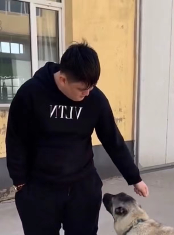 赵本山儿子豪掷260万买狗，被质疑炫富败家，怒怼网友：你们这是仇富！休闲区蓝鸢梦想 - Www.slyday.coM