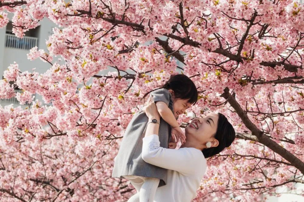3月9日，人们在日本东京旧中川沿岸的樱花树下。新华社记者张笑宇摄