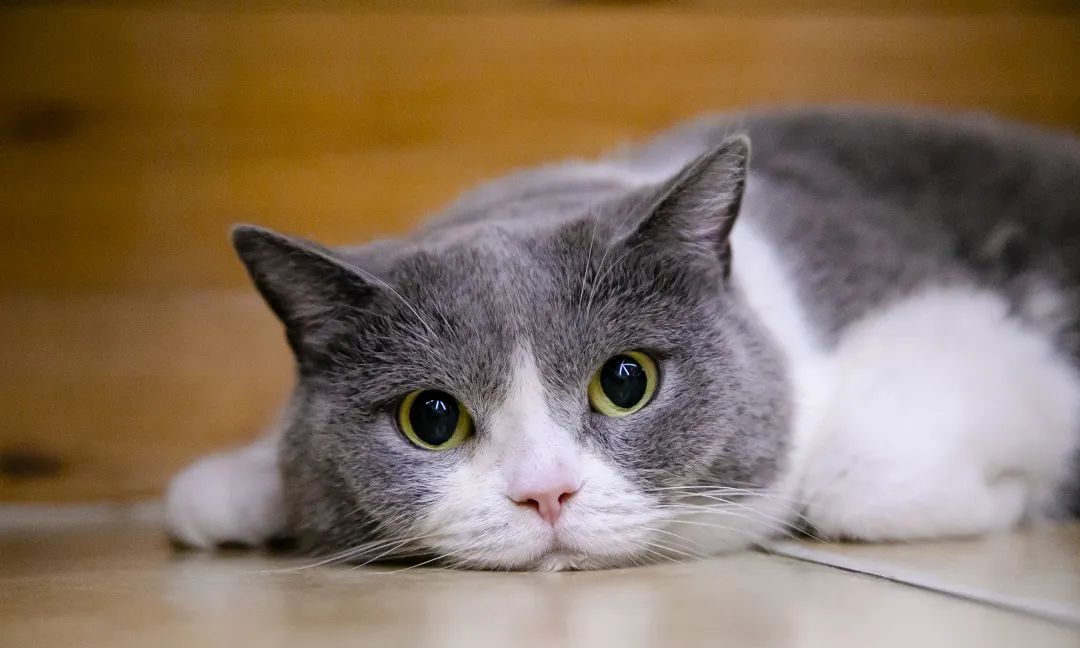 云朵朵:我好想逃,却逃不掉……__财经头条