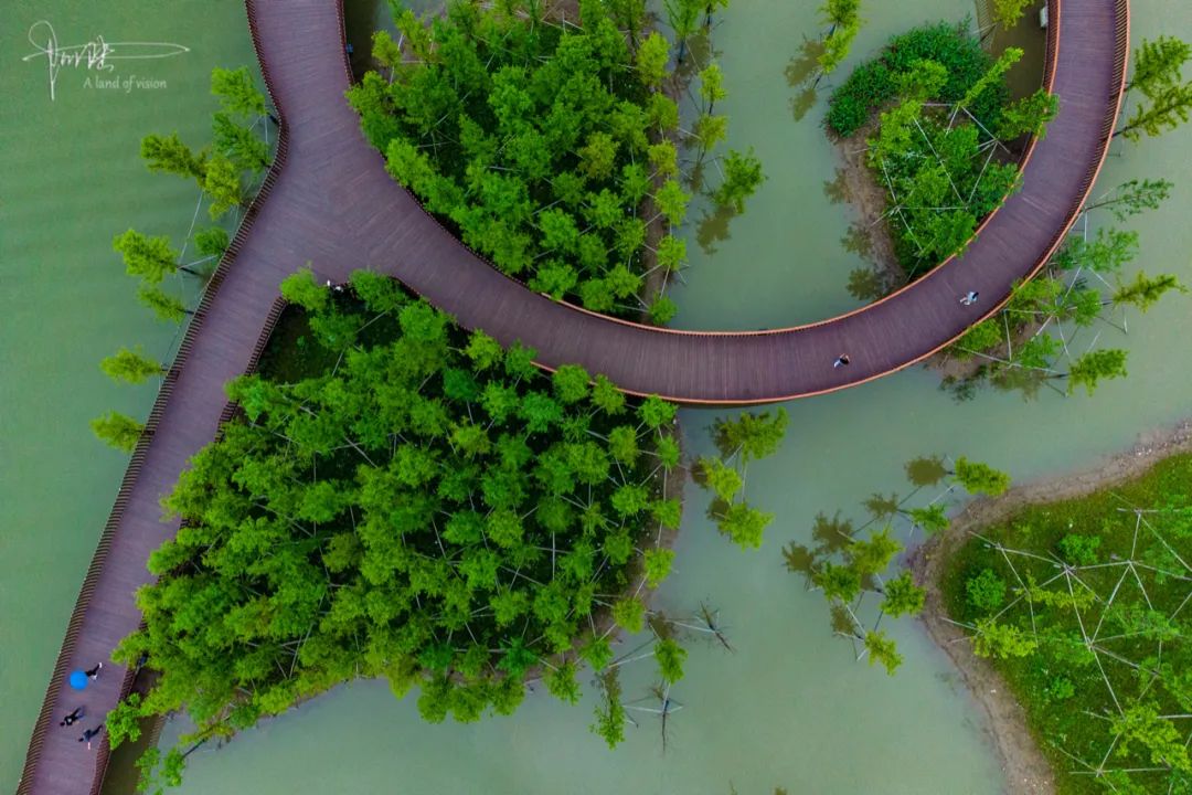 3公里的水上栈道,不用"扫码"就能直接进,美不胜收|鉴湖|水上栈道|西湖