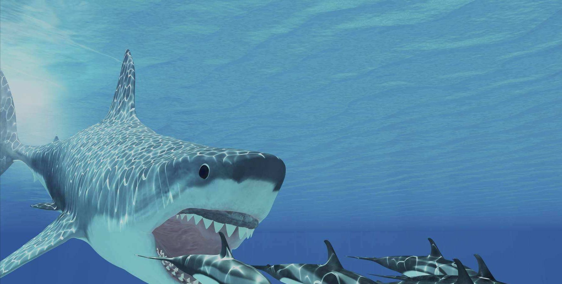 5部与鲨鱼有关的电影，喜欢深海逃生类电影的你不容错过！ - 知乎