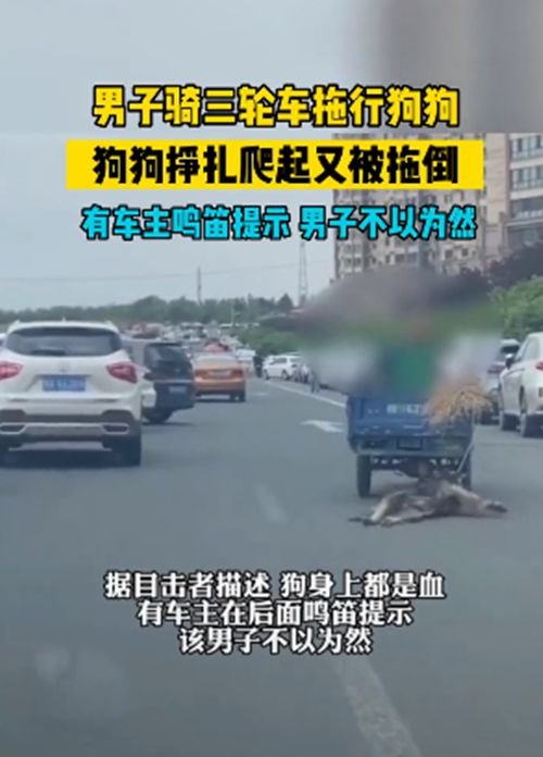 男子骑三轮车拖行狗狗，汪的身上被磨出了血：配当主人吗？休闲区蓝鸢梦想 - Www.slyday.coM