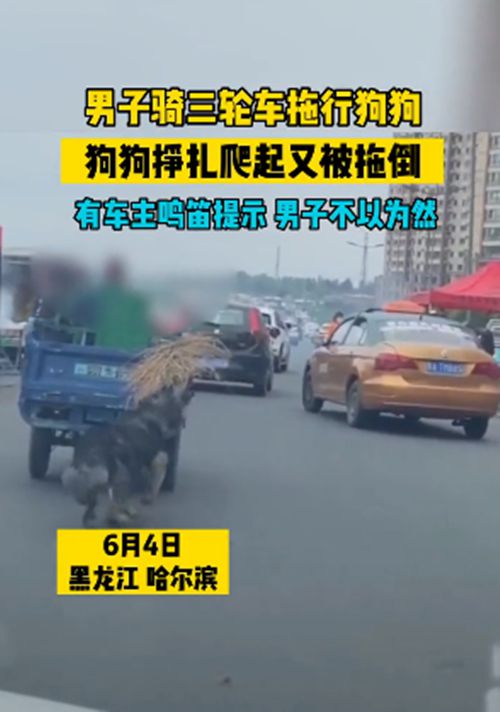 男子骑三轮车拖行狗狗，汪的身上被磨出了血：配当主人吗？休闲区蓝鸢梦想 - Www.slyday.coM