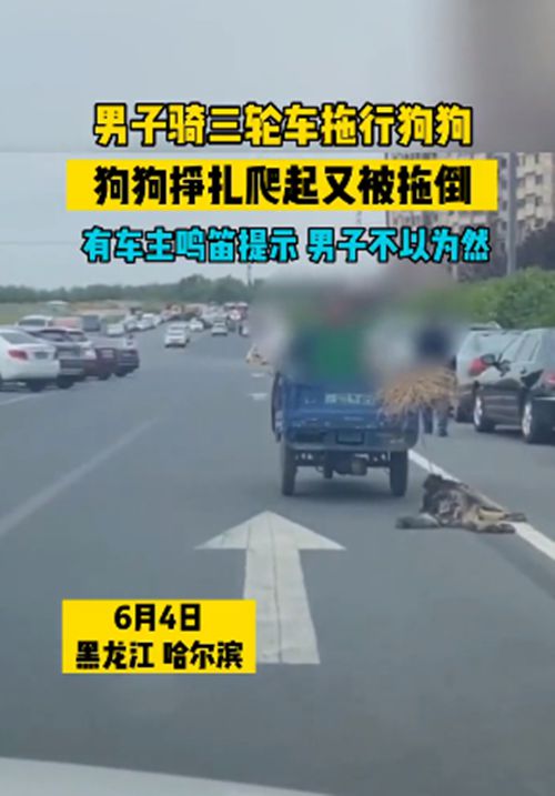 男子骑三轮车拖行狗狗，汪的身上被磨出了血：配当主人吗？休闲区蓝鸢梦想 - Www.slyday.coM